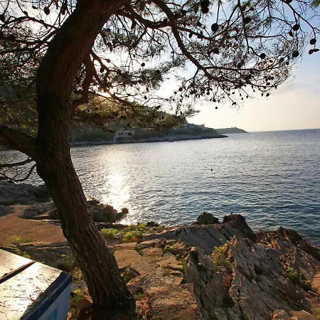 Apartman Dijana-1 By Interhome *