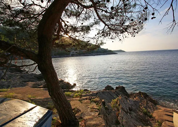 Appartement Dijana-1 By Interhome *